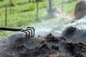 Making Compost