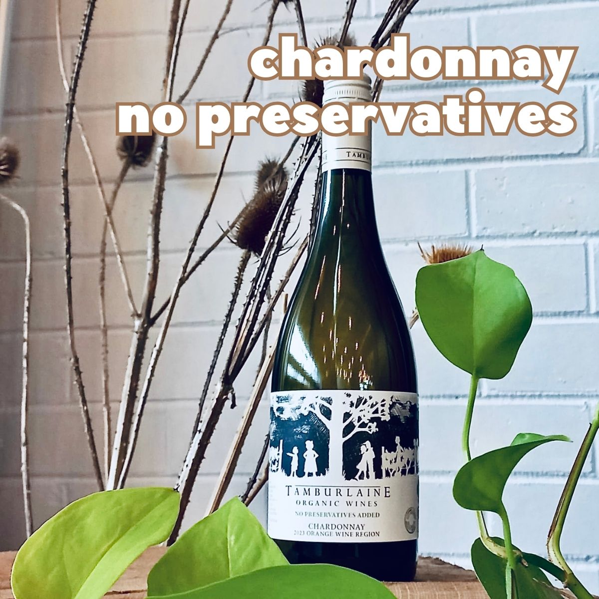 Tamburlaine Preservative Free Chardonnay Tamburlaine Preservative Free Chardonnay