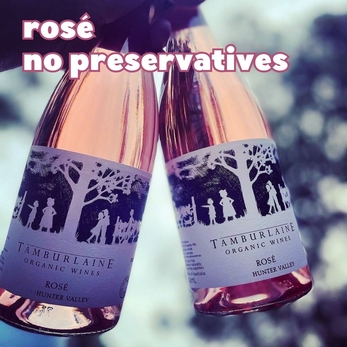 Tamburlaine Preservative Free Rose Tamburlaine Preservative Free Rose