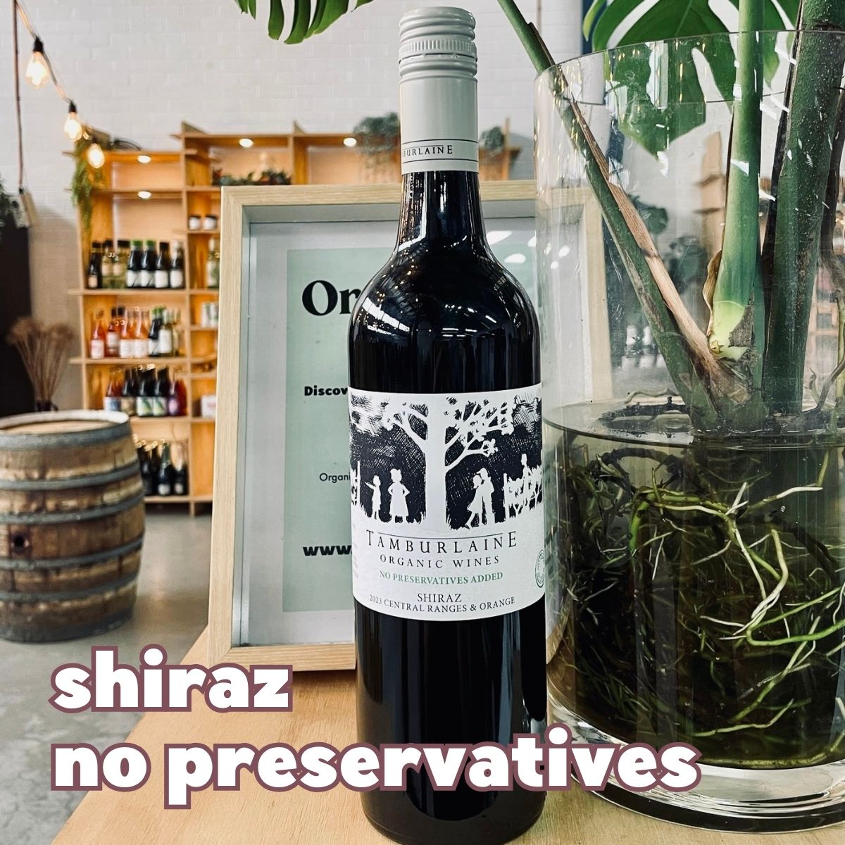 Tamburlaine No Preservatives Shiraz Tamburlaine No Preservatives Shiraz