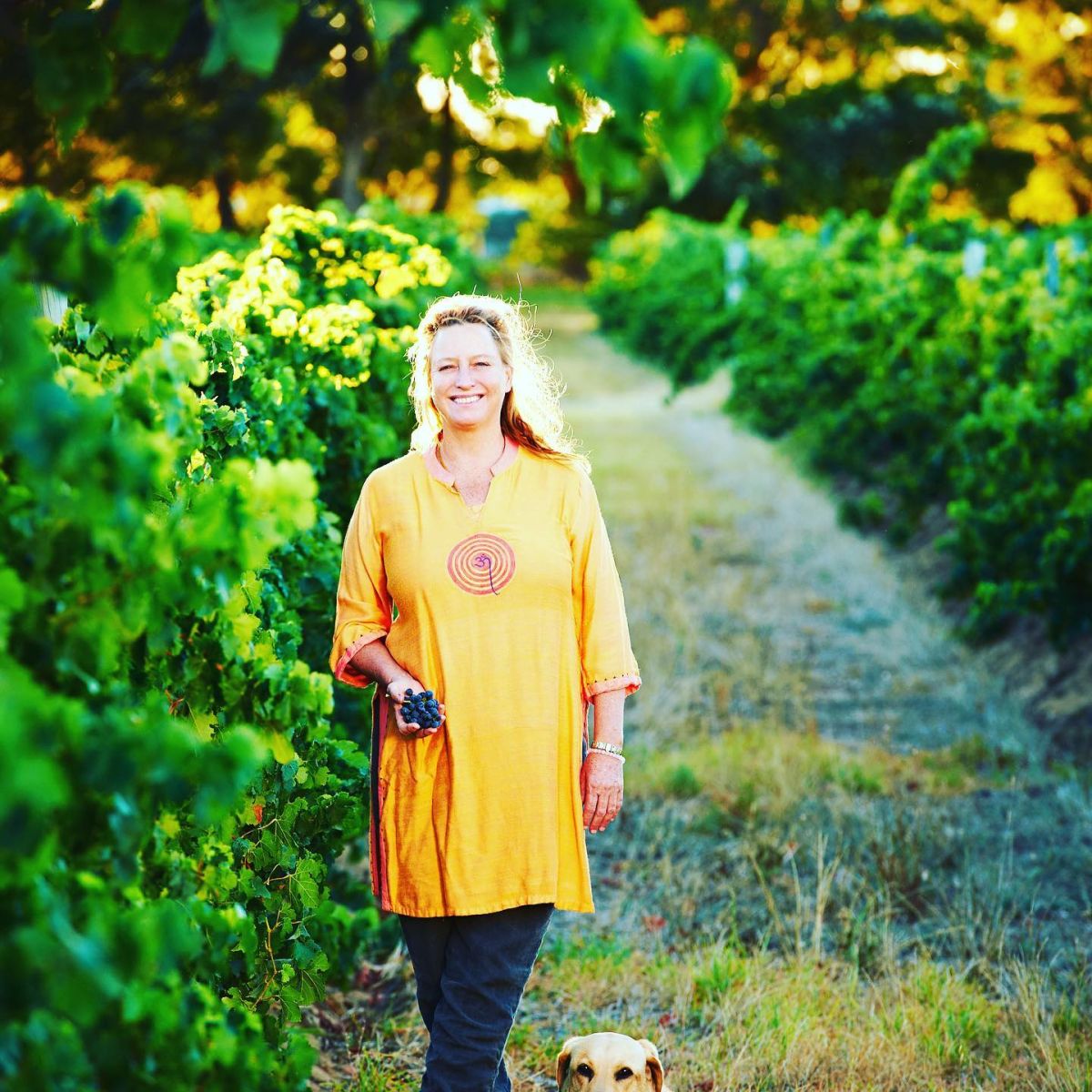 Vanya Cullen amongst the vines, Wilyabrup, Margaret River, WA