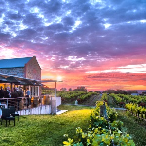 Angove McLaren Vale Cellar Door