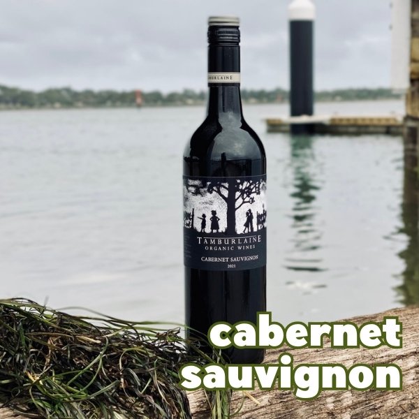 Tamburlaine Organic Grapevine Cabernet Sauvignon Tamburlaine Organic Grapevine Cabernet Sauvignon