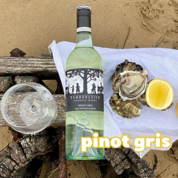 Tamburlaine Organic Grapevine Pinot Gris Tamburlaine Organic Grapevine Pinot Gris