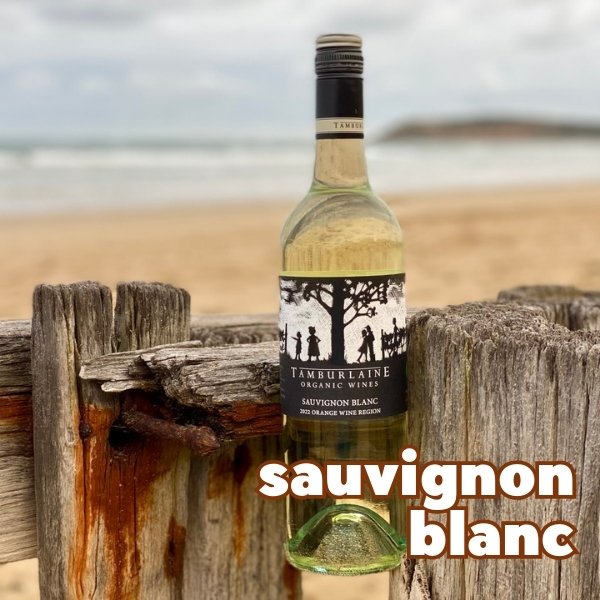Tamburlaine Organic Grapevine Sauvignon Blanc Tamburlaine Organic Grapevine Sauvignon Blanc