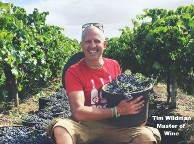 Tim Wildman, Amongst the Vines