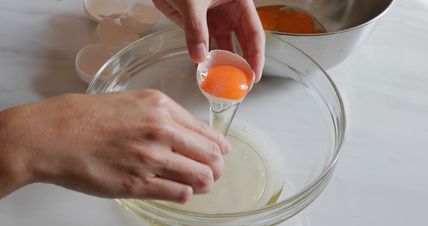 Egg Fining