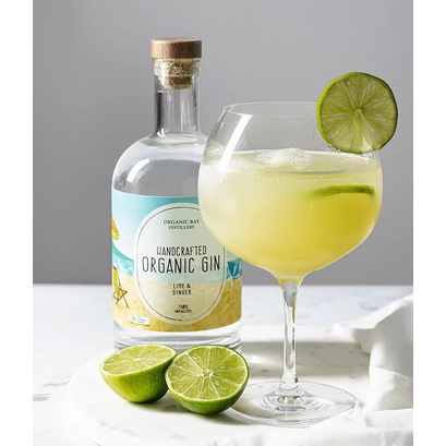 Organic Bay Gin Lime & Ginger 100ml