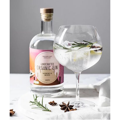 Organic Bay Gin Raspberry & Aniseed 100ml