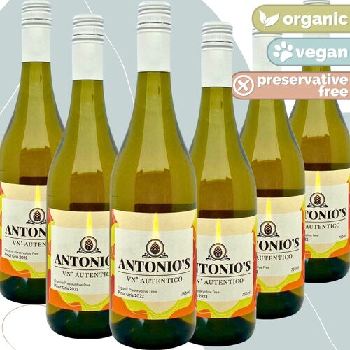 Antonio's Organic Preservative Free Pinot Gris 6 Pack