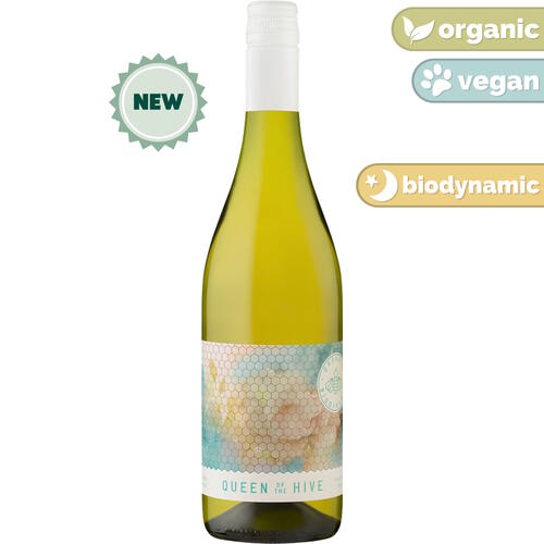 Paxton Queen of the Hive Fiano 2026