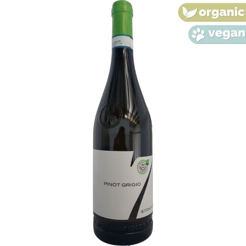Settimo Podere Pinot Grigio 2020