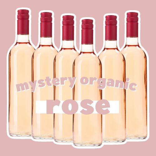 Mystery Organic Rose 6 Pack